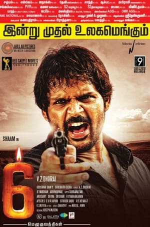 6 Candles (2013) Hindi Dubbed [950MB] HD Poster Download - Filmyzilla