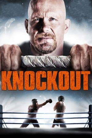 Born to Fight 2011 Hindi Dual Audio 300MB HD Poster Download - Filmyzilla