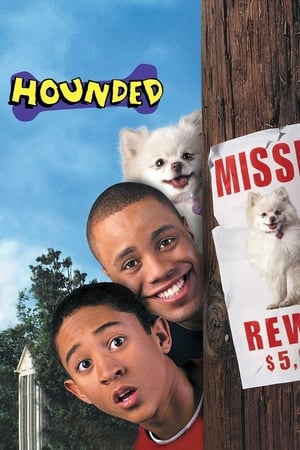 Hounded 2001 Hindi Dual Audio [1.1GB] HD Poster Download - Filmyzilla