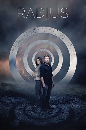 Radius (2017) Hindi Dual Audio [870MB] HD Poster Download - Filmyzilla