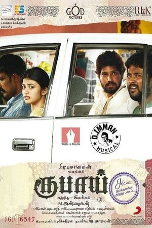 Rubaai (2017) Hindi Dual Audio [1.5GB] HD Poster Download - Filmyzilla