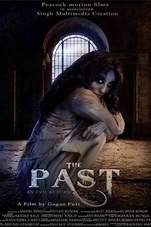 The Past 2018 Hindi Movie [940MB] HD Poster Download - Filmyzilla